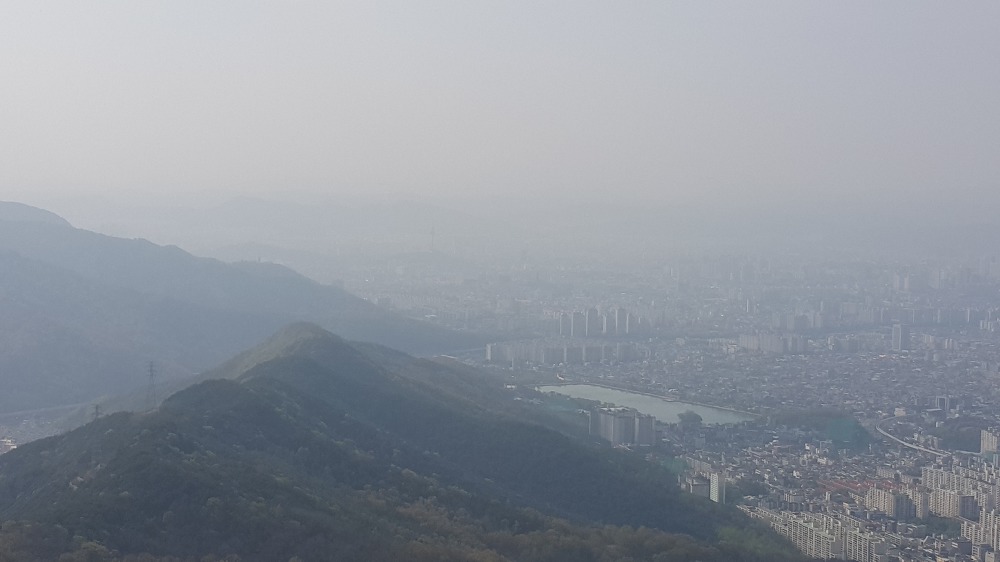 <대구 수성못 용지봉>용지봉에서 바라보는 대구와 꽃이름 찾는 어플 작업 사진 20