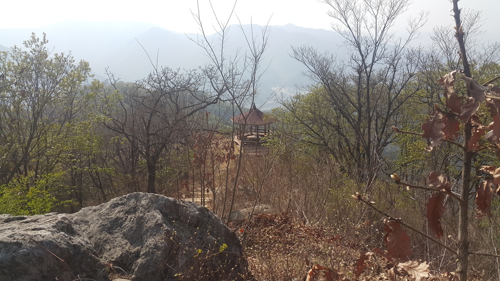<대구 수성못 용지봉>용지봉에서 바라보는 대구와 꽃이름 찾는 어플 작업 사진 24