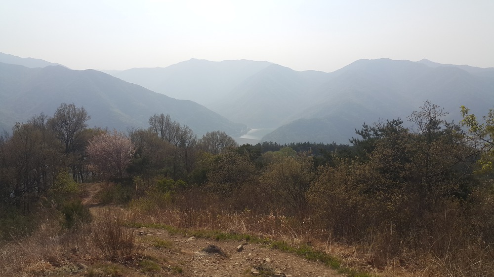 <대구 수성못 용지봉>용지봉에서 바라보는 대구와 꽃이름 찾는 어플 작업 사진 25