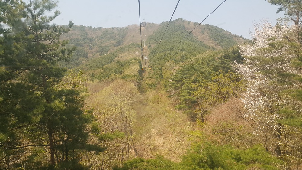 <대구 \"팔공산케이블카\"> 케이블카 타고 올라가서 낙타봉까지~ 작업 사진 4