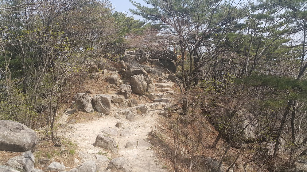<대구 \"팔공산케이블카\"> 케이블카 타고 올라가서 낙타봉까지~ 작업 사진 12