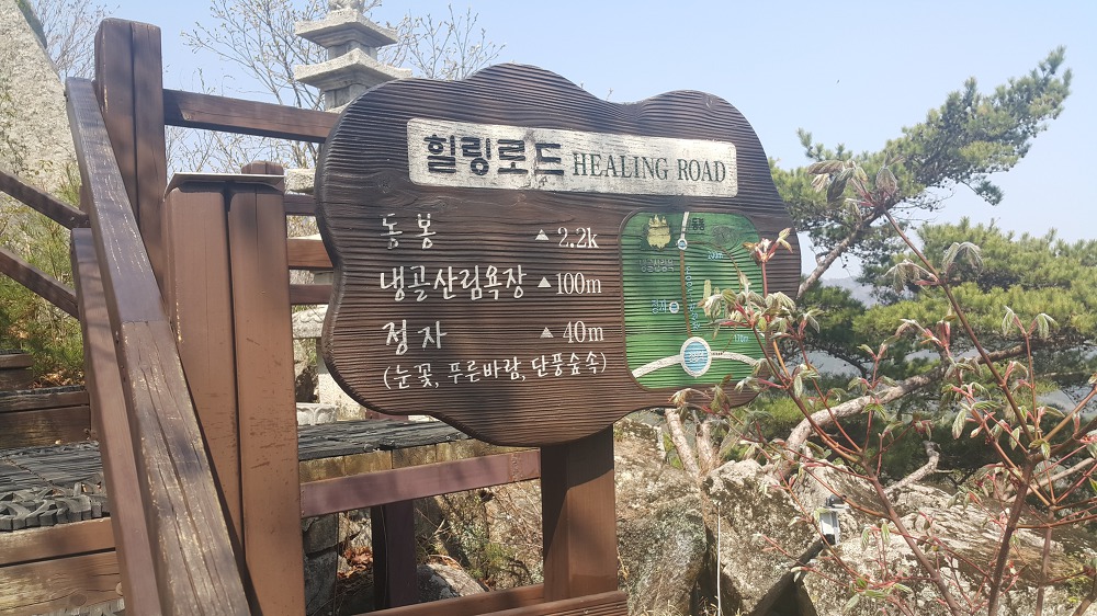 <대구 \"팔공산케이블카\"> 케이블카 타고 올라가서 낙타봉까지~ 작업 사진 14
