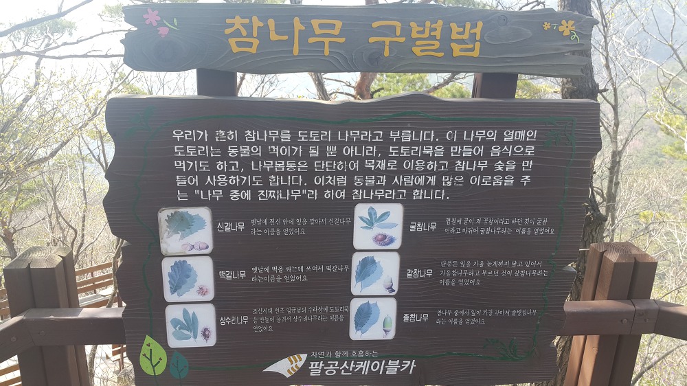 <대구 \"팔공산케이블카\"> 케이블카 타고 올라가서 낙타봉까지~ 작업 사진 17