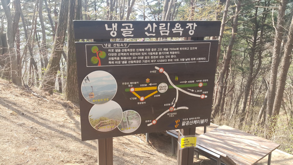 <대구 \"팔공산케이블카\"> 케이블카 타고 올라가서 낙타봉까지~ 작업 사진 18