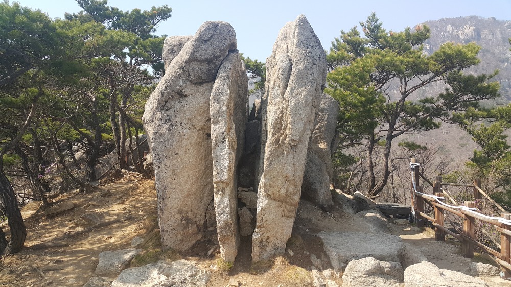 <대구 \"팔공산케이블카\"> 케이블카 타고 올라가서 낙타봉까지~ 작업 사진 23