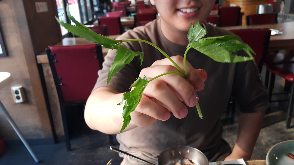 <대구 북구 침산동 \"일월산생고기직화구이본점\"> 짜장면먹고 3시간만에 또 고기 섭취 작업 사진 10