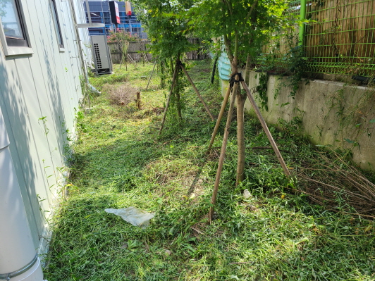 영천 상가 벌초 및 친환경 제초제 살포. 주택, 농지, 나대지, 상가(매장,기업,공장) 예초비용 포함. 작업 사진 6