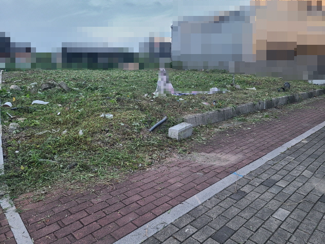 경산 칡, 잡초 무성한 나대지 벌초. 작업 사진 3