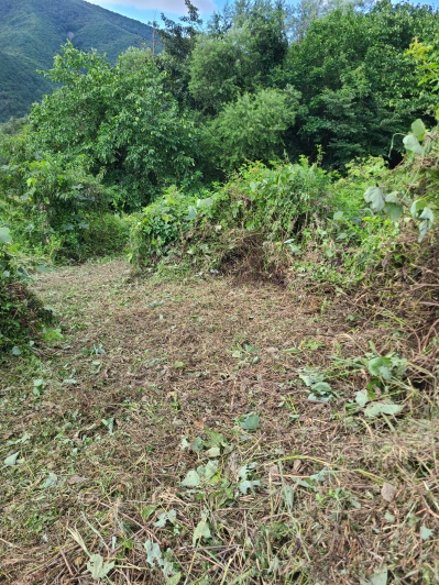 영천시 자양면 보현리 벌초 다녀왔습니다. 대구, 경산, 영천 벌초. 작업 사진 2