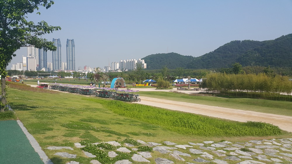 <울산 "태화강대공원"> 2018 태화강봄꽃축제. 십리대숲 걷기. 작업 사진 2