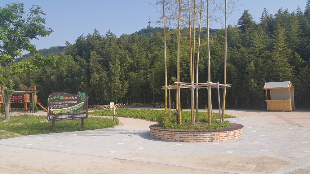 <울산 "태화강대공원"> 2018 태화강봄꽃축제. 십리대숲 걷기. 작업 사진 12