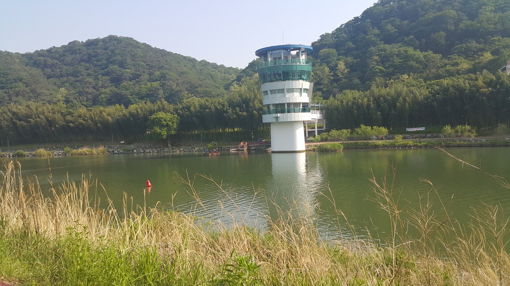 <울산 "태화강대공원"> 2018 태화강봄꽃축제. 십리대숲 걷기. 작업 사진 18