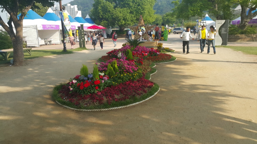 <울산 "태화강대공원"> 2018 태화강봄꽃축제. 십리대숲 걷기. 작업 사진 19