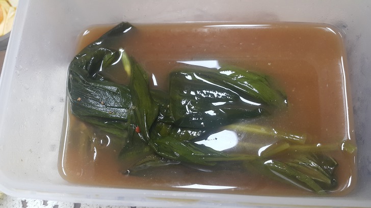 <울릉도 3박 4일 1부> 울릉도에서 먹은 맛있는 밥과 방파제앞 낚시. 면민 체육대회 참가. 작업 사진 4