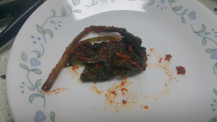<울릉도 3박 4일 1부> 울릉도에서 먹은 맛있는 밥과 방파제앞 낚시. 면민 체육대회 참가. 작업 사진 2