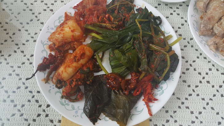 <울릉도 3박 4일 1부> 울릉도에서 먹은 맛있는 밥과 방파제앞 낚시. 면민 체육대회 참가. 작업 사진 22