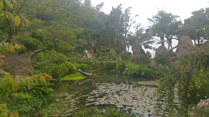 <울릉도 3박 4일 2부 "울릉예림원"> 울릉도 추천 관광지. 사진찍기 좋은 곳. 조경공원. 작업 사진 6