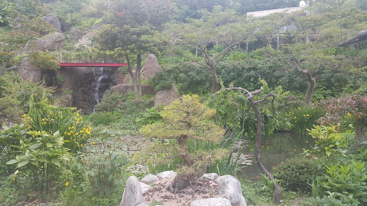 <울릉도 3박 4일 2부 "울릉예림원"> 울릉도 추천 관광지. 사진찍기 좋은 곳. 조경공원. 작업 사진 9