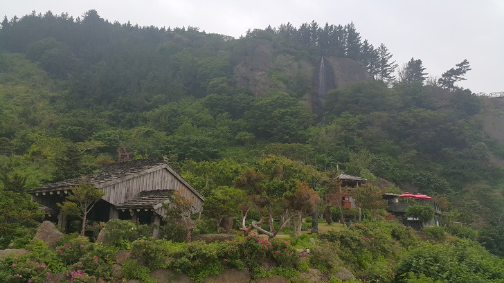 <울릉도 3박 4일 2부 "울릉예림원"> 울릉도 추천 관광지. 사진찍기 좋은 곳. 조경공원. 작업 사진 12