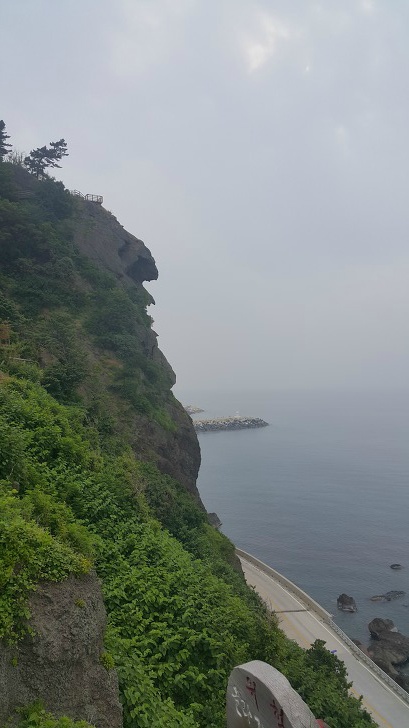 <울릉도 3박 4일 2부 "울릉예림원"> 울릉도 추천 관광지. 사진찍기 좋은 곳. 조경공원. 작업 사진 13