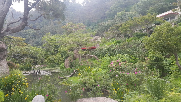 <울릉도 3박 4일 2부 "울릉예림원"> 울릉도 추천 관광지. 사진찍기 좋은 곳. 조경공원. 작업 사진 15