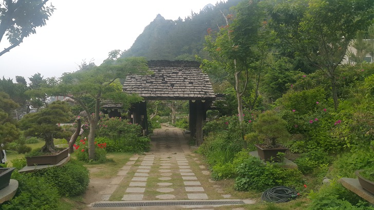 <울릉도 3박 4일 2부 "울릉예림원"> 울릉도 추천 관광지. 사진찍기 좋은 곳. 조경공원. 작업 사진 19
