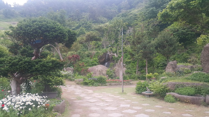 <울릉도 3박 4일 2부 "울릉예림원"> 울릉도 추천 관광지. 사진찍기 좋은 곳. 조경공원. 작업 사진 22