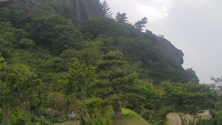 <울릉도 3박 4일 2부 "울릉예림원"> 울릉도 추천 관광지. 사진찍기 좋은 곳. 조경공원. 작업 사진 24
