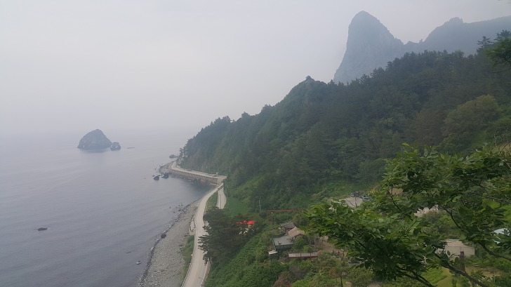 <울릉도 3박 4일 2부 "울릉예림원"> 울릉도 추천 관광지. 사진찍기 좋은 곳. 조경공원. 작업 사진 29