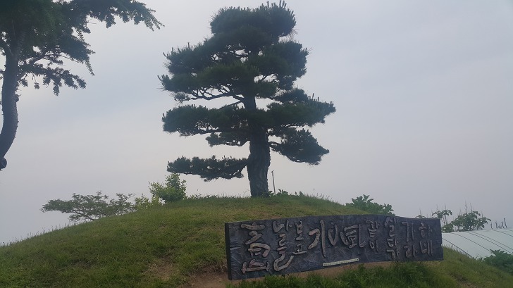 <울릉도 3박 4일 2부 "울릉예림원"> 울릉도 추천 관광지. 사진찍기 좋은 곳. 조경공원. 작업 사진 35