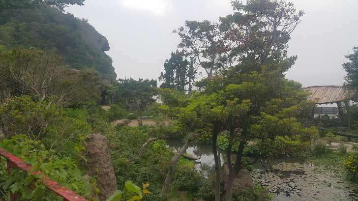 <울릉도 3박 4일 2부 "울릉예림원"> 울릉도 추천 관광지. 사진찍기 좋은 곳. 조경공원. 작업 사진 37