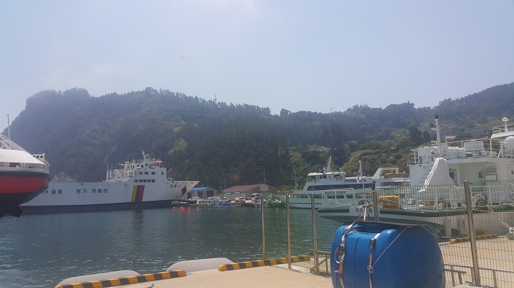 <울릉도 3박 4일 3부> 울릉도 해안도로 탐방. 관음도. 나리분지 원시림. 작업 사진 5