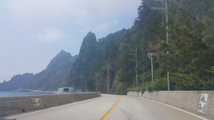 <울릉도 3박 4일 3부> 울릉도 해안도로 탐방. 관음도. 나리분지 원시림. 작업 사진 6
