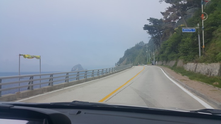 <울릉도 3박 4일 3부> 울릉도 해안도로 탐방. 관음도. 나리분지 원시림. 작업 사진 11