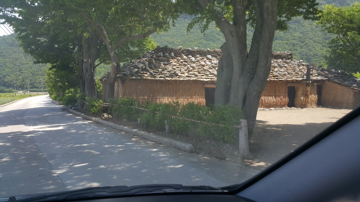 <울릉도 3박 4일 3부> 울릉도 해안도로 탐방. 관음도. 나리분지 원시림. 작업 사진 48