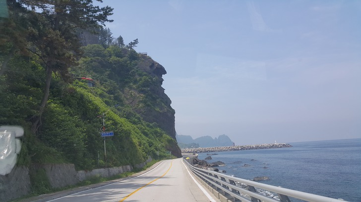 <울릉도 3박 4일 3부> 울릉도 해안도로 탐방. 관음도. 나리분지 원시림. 작업 사진 14
