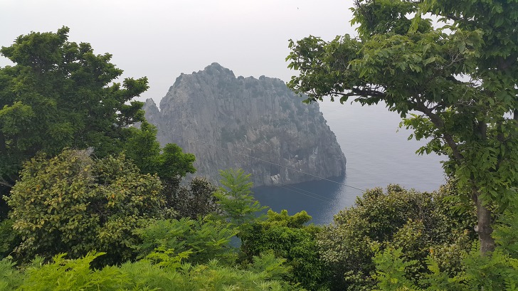 <울릉도 3박 4일 3부> 울릉도 해안도로 탐방. 관음도. 나리분지 원시림. 작업 사진 26