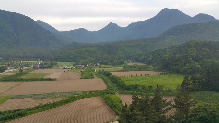 <울릉도 3박 4일 3부> 울릉도 해안도로 탐방. 관음도. 나리분지 원시림. 작업 사진 47