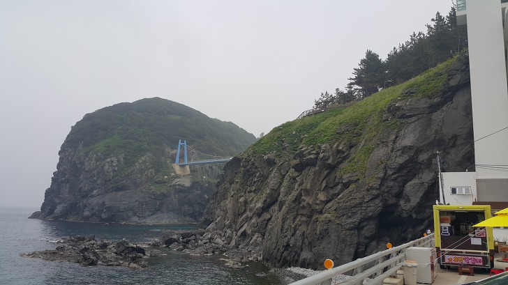 <울릉도 3박 4일 3부> 울릉도 해안도로 탐방. 관음도. 나리분지 원시림. 작업 사진 27