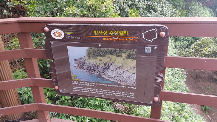 <울릉도 3박 4일 3부> 울릉도 해안도로 탐방. 관음도. 나리분지 원시림. 작업 사진 37