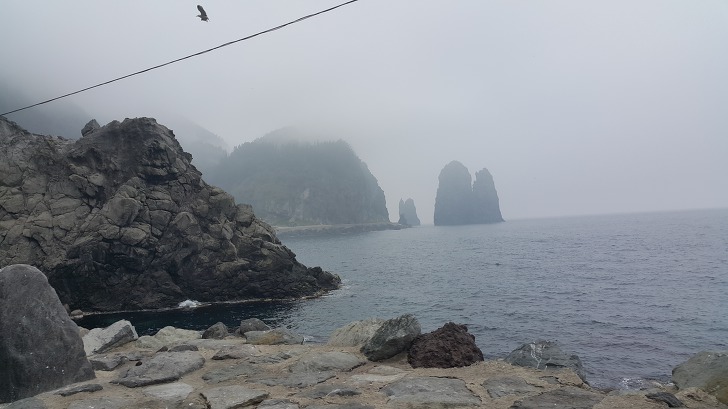 <울릉도 3박 4일 3부> 울릉도 해안도로 탐방. 관음도. 나리분지 원시림. 작업 사진 41