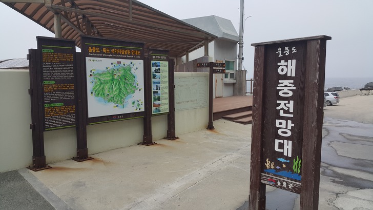 <울릉도 3박 4일 3부> 울릉도 해안도로 탐방. 관음도. 나리분지 원시림. 작업 사진 42