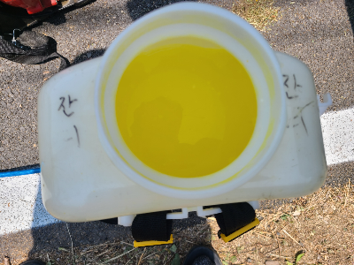 영천시 청통면 주택 마당 잡초 정리하고, 잔디 제초제 뿌리고 왔습니다. 작업 사진 5