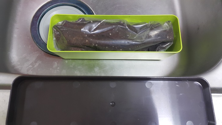 <열매친구 텃밭세트> 오이와 방울토마토 키워보기 작업 사진 3