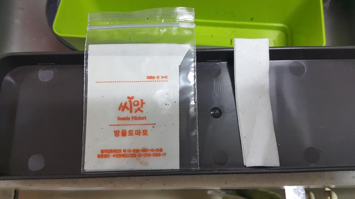 <열매친구 텃밭세트> 오이와 방울토마토 키워보기 작업 사진 4