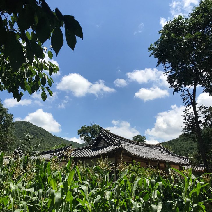 <아산 외암리민속마을> 계모임 / 외암마을 참판댁 작업 사진 9