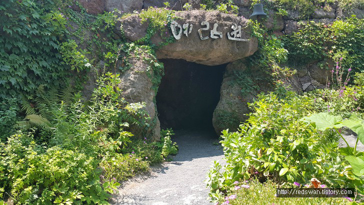 <울릉예림원> 한 달만에 다시 찾은 울릉도의 아름다운 공원 작업 사진 2