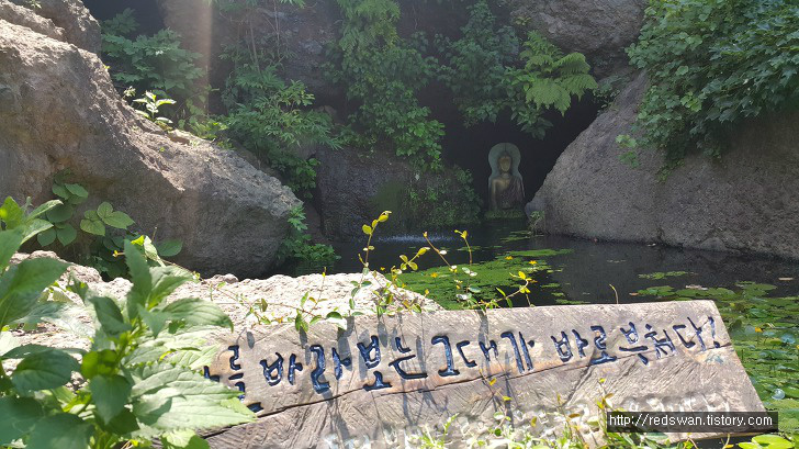 <울릉예림원> 한 달만에 다시 찾은 울릉도의 아름다운 공원 작업 사진 10