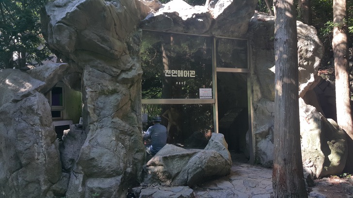 <울릉도 도동 "봉래폭포"> 울릉도 가볼만한곳. 쏟아지는 햇살과 함께 봉래폭포 구경하기. 작업 사진 4