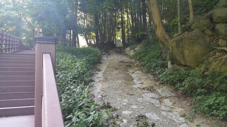 <울릉도 도동 "봉래폭포"> 울릉도 가볼만한곳. 쏟아지는 햇살과 함께 봉래폭포 구경하기. 작업 사진 5